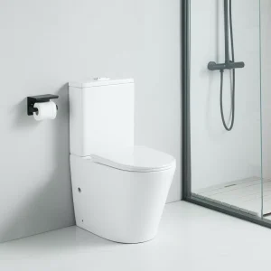 Toilette WC à poser CIPOLI en céramique