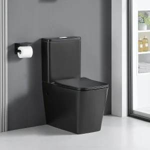 Toilette WC à poser BRAGADO en céramique noir mat