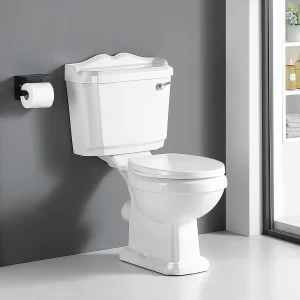 Toilette WC à poser rétro CHERY en céramique