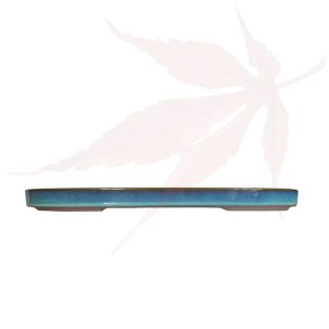 Pot à bonsai n°255 – 47x31x3.5